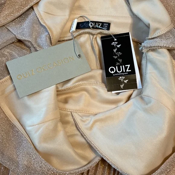 Mother of bride or groom dress. Quiz long gown in pink shimmer, US 6. - Picture 4 of 7